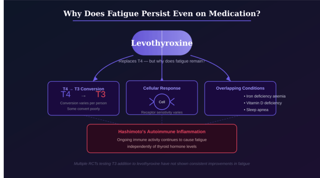 Fatigue and Hypothyroidism Persist Even on Medication