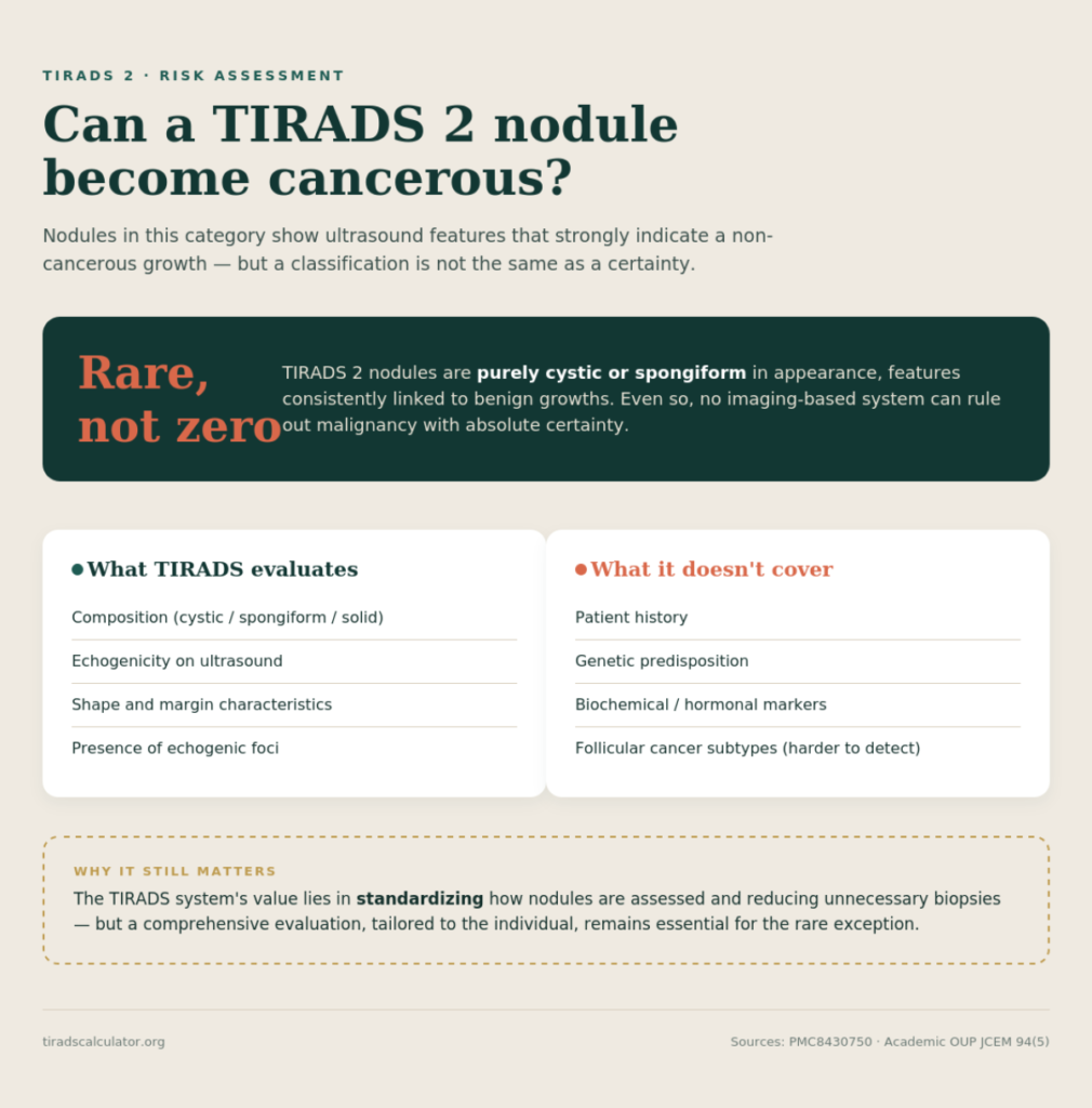 Infographic titled "Can a TIRADS 2 Nodule Become Cancerous?" with the headline answer "Rare, not zero," explaining that TIRADS 2 nodules show cystic or spongiform features linked to benign growths, though no imaging system can rule out cancer with full certainty. A two-column comparison lists what TIRADS evaluates (composition, echogenicity, shape and margins, echogenic foci) versus what it doesn't cover (patient history, genetics, biochemical markers, follicular cancer subtypes), followed by a callout on why standardized risk assessment still matters.